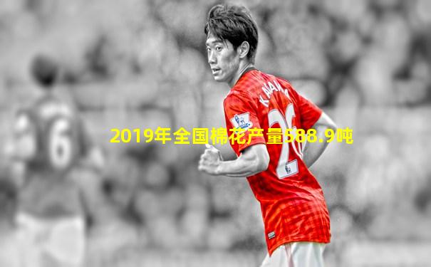 2019年全国棉花产量588.9吨