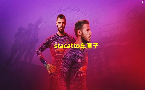 stacatto车厘子