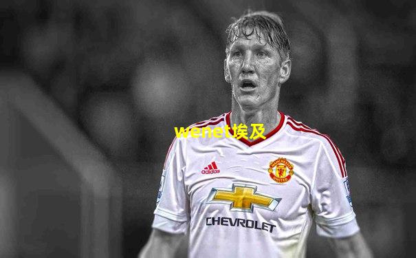 wenet埃及