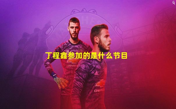 丁程鑫参加的是什么节目