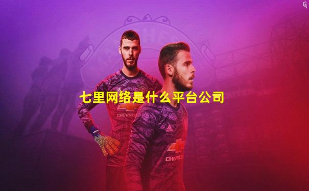 七里网络是什么平台公司