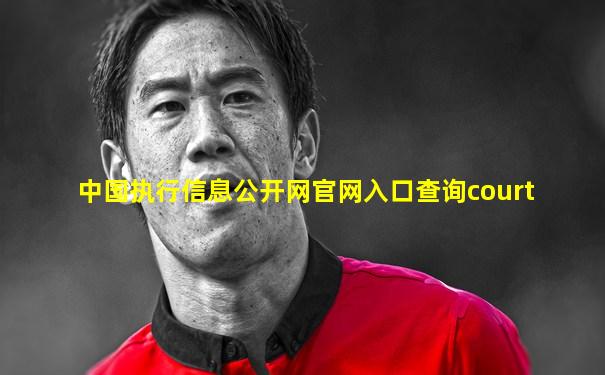 中国执行信息公开网官网入口查询court