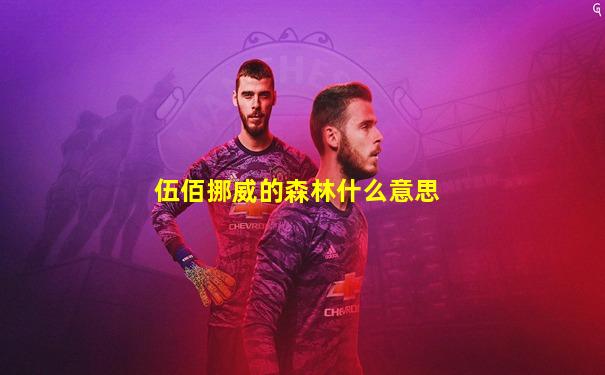 伍佰挪威的森林什么意思