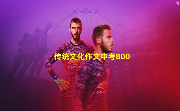 传统文化作文中考800