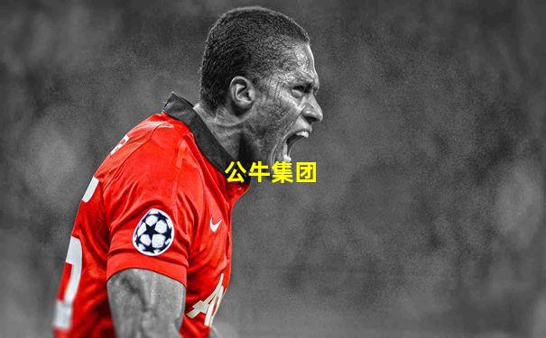 公牛集团