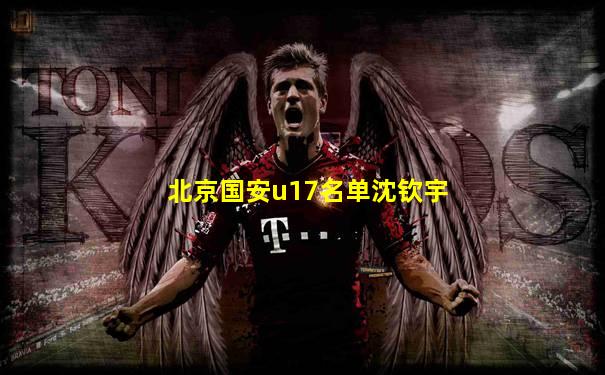 北京国安u17名单沈钦宇