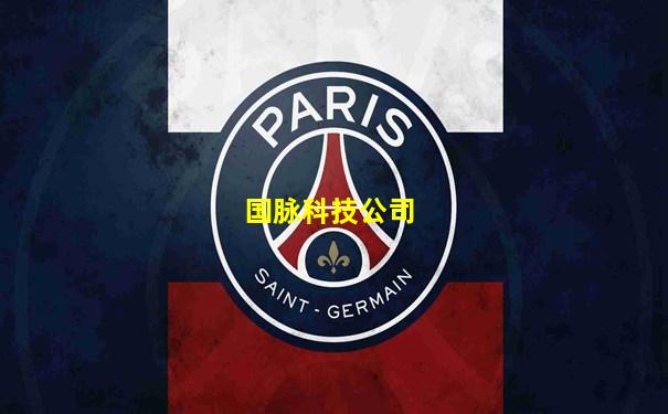 国脉科技公司