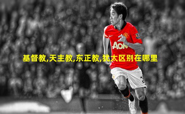 基督教,天主教,东正教,犹太区别在哪里