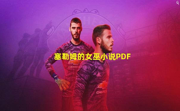 塞勒姆的女巫小说PDF