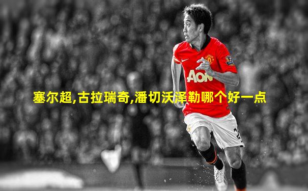 塞尔超,古拉瑞奇,潘切沃泽勒哪个好一点