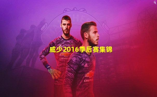 威少2016季后赛集锦