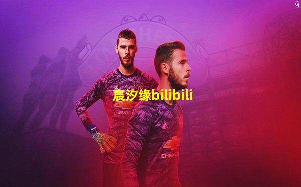 宸汐缘bilibili
