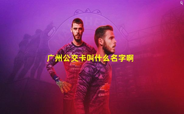 广州公交卡叫什么名字啊