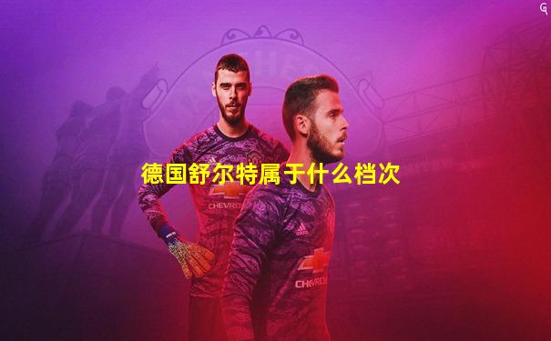德国舒尔特属于什么档次
