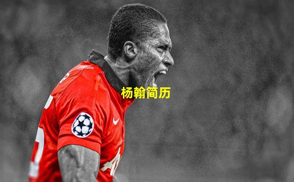 杨翰简历