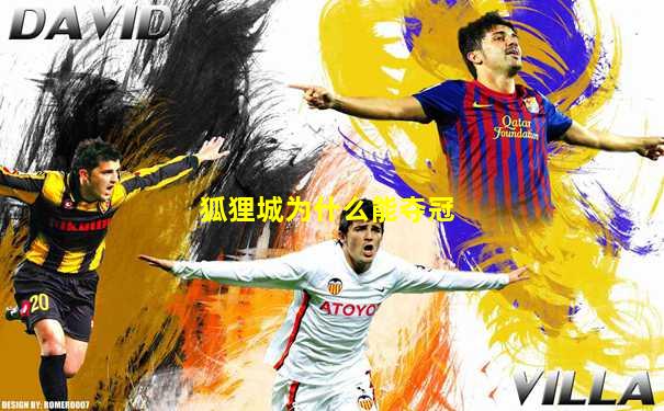 狐狸城为什么能夺冠