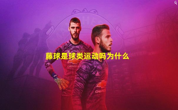 藤球是球类运动吗为什么