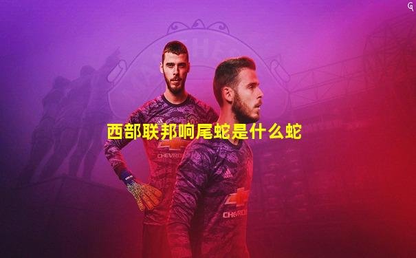 西部联邦响尾蛇是什么蛇