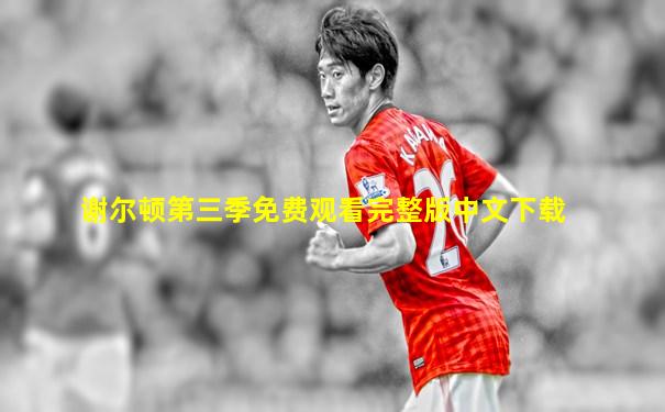 谢尔顿第三季免费观看完整版中文下载