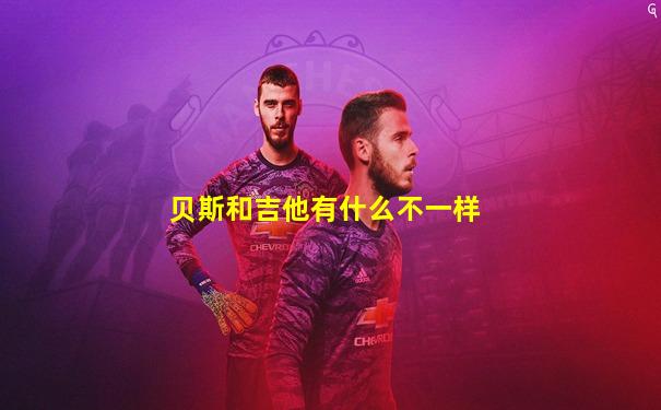 贝斯和吉他有什么不一样