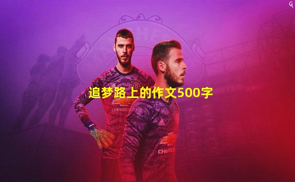 追梦路上的作文500字