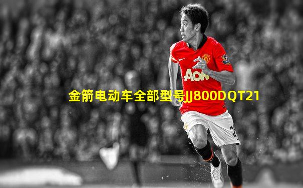 金箭电动车全部型号JJ800DQT21