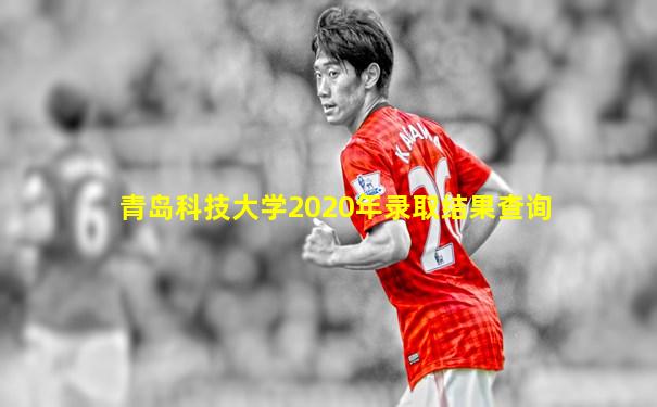 青岛科技大学2020年录取结果查询